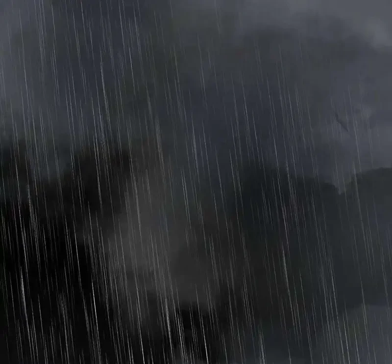 Tả Anh Tiểu Thư Chapter 21 - 83