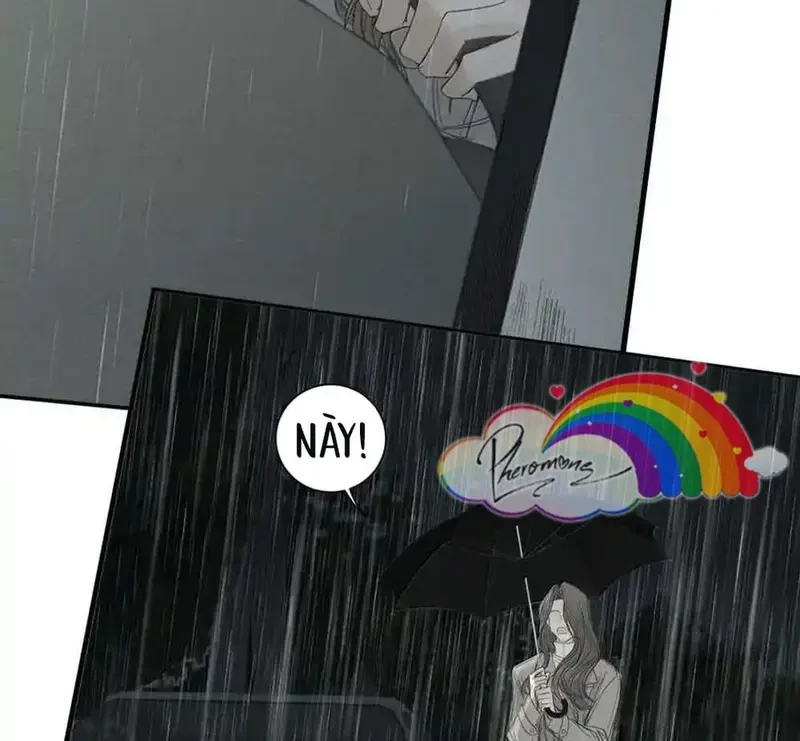 Tả Anh Tiểu Thư Chapter 22 - 24