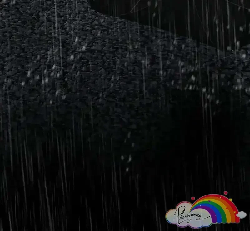 Tả Anh Tiểu Thư Chapter 22 - 35