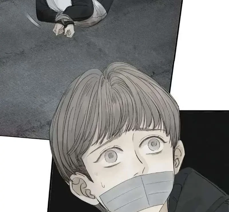 Tả Anh Tiểu Thư Chapter 23 - 56