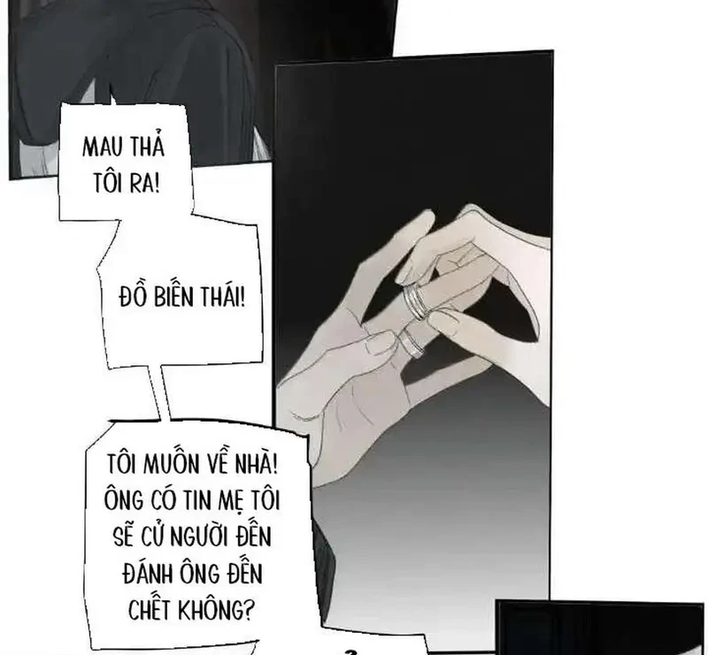 Tả Anh Tiểu Thư Chapter 23 - 80