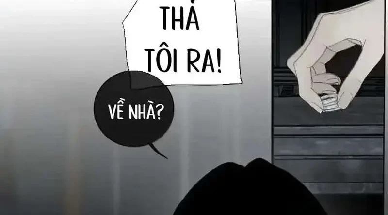 Tả Anh Tiểu Thư Chapter 23 - 81