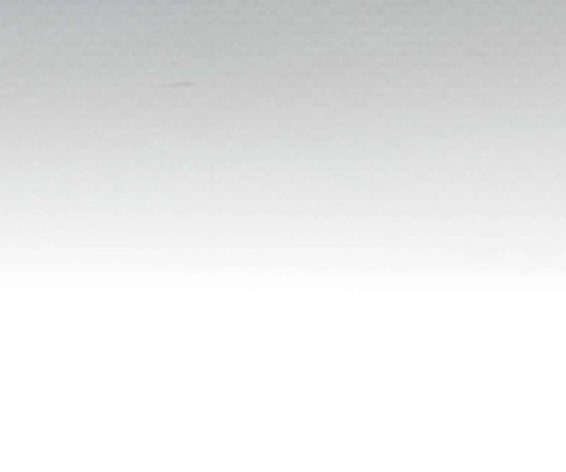 Tả Anh Tiểu Thư Chapter 24 - 49