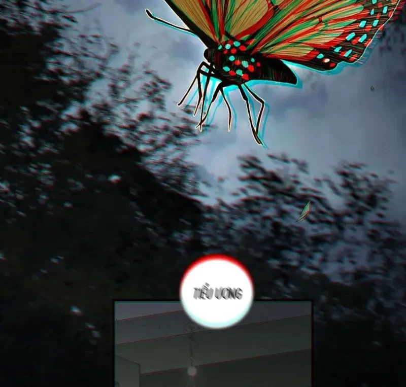 Tả Anh Tiểu Thư Chapter 25 - 24