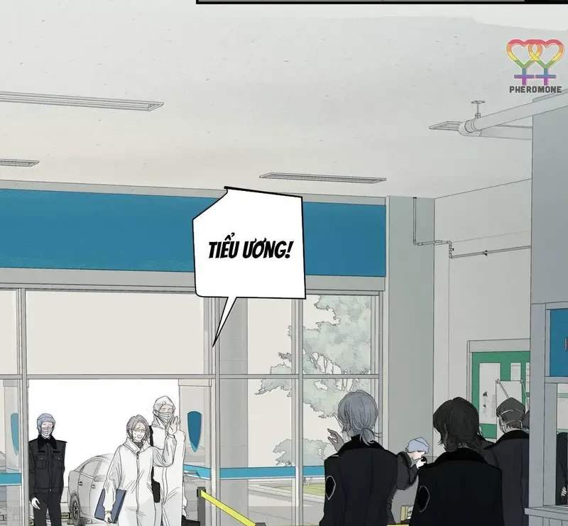 Tả Anh Tiểu Thư Chapter 26 - 32