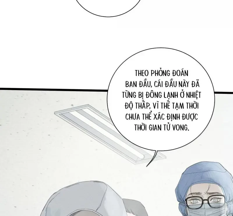 Tả Anh Tiểu Thư Chapter 26 - 50