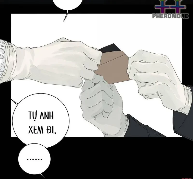 Tả Anh Tiểu Thư Chapter 26 - 61