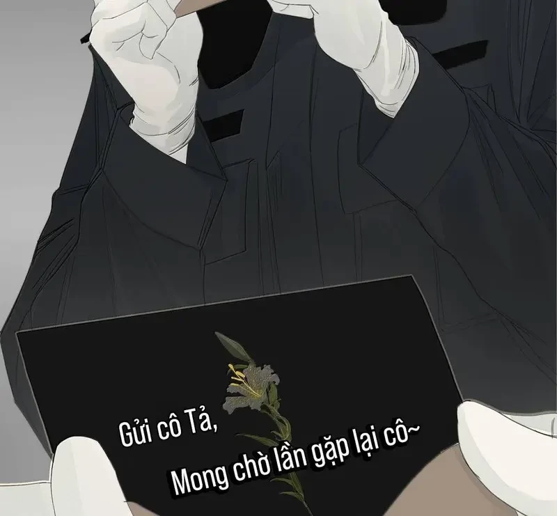 Tả Anh Tiểu Thư Chapter 26 - 63