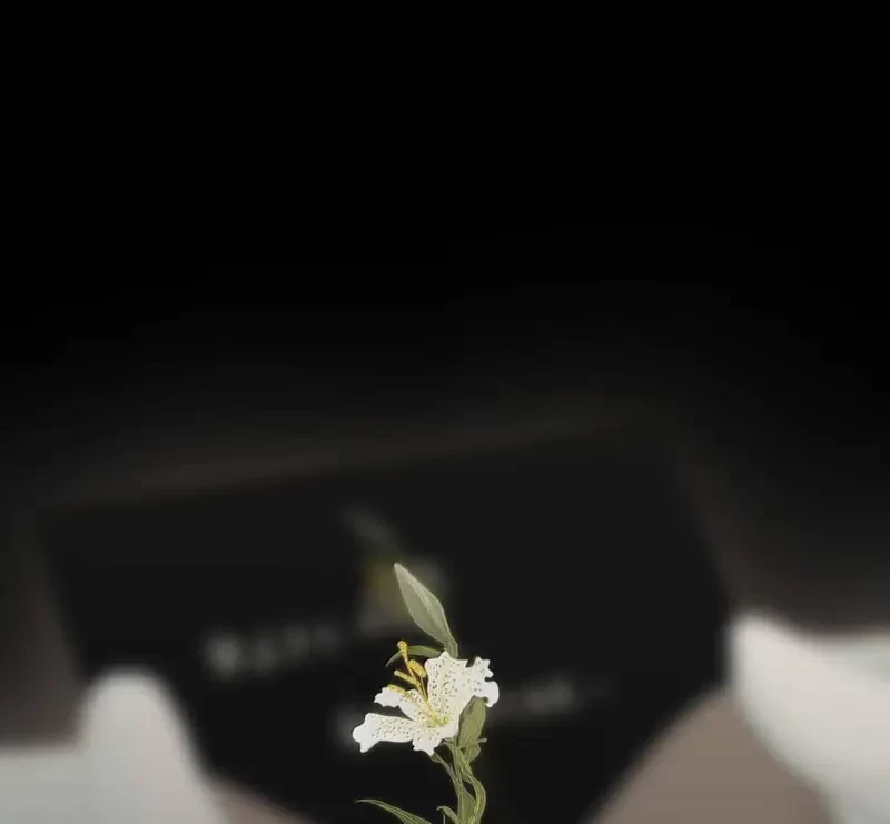 Tả Anh Tiểu Thư Chapter 27 - 4