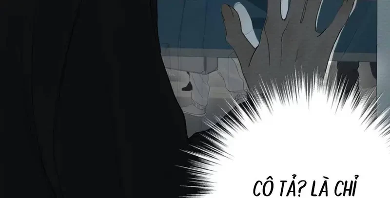 Tả Anh Tiểu Thư Chapter 27 - 8