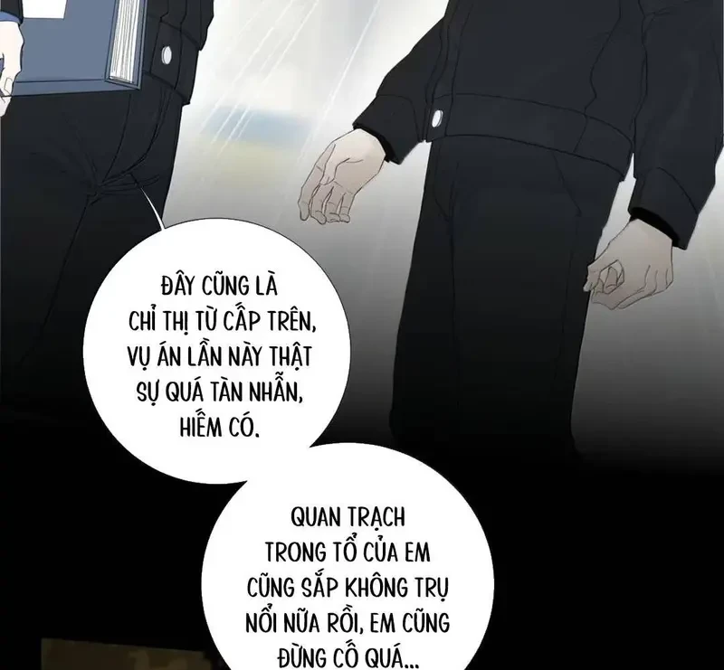 Tả Anh Tiểu Thư Chapter 27 - 29