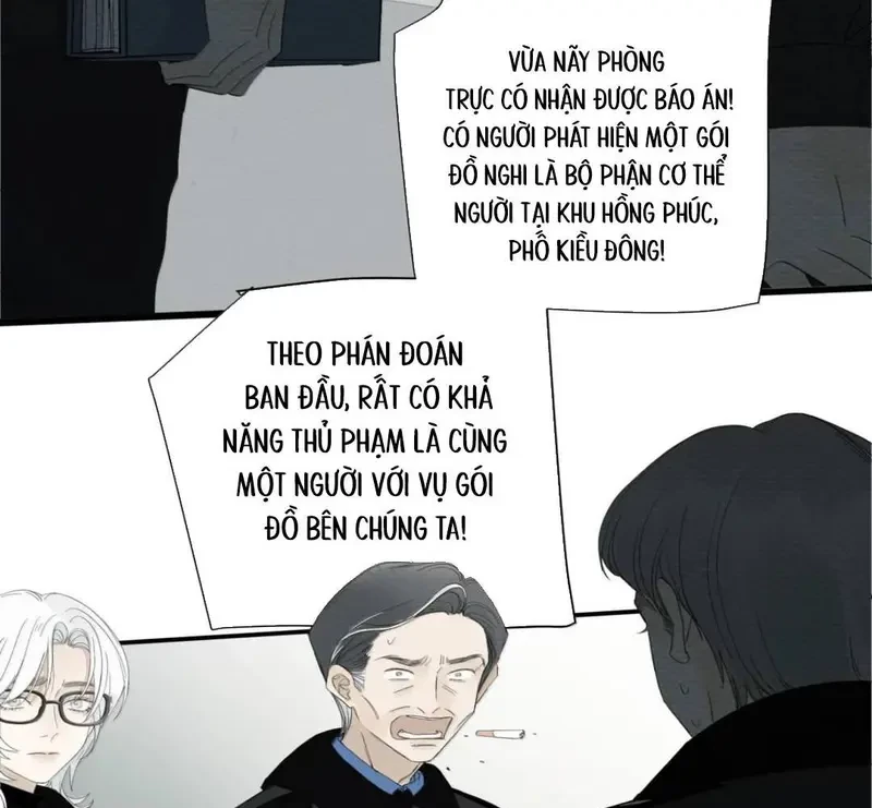 Tả Anh Tiểu Thư Chapter 27 - 37