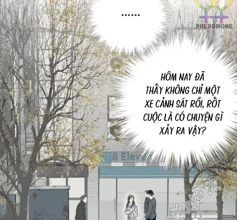 Tả Anh Tiểu Thư Chapter 27 - 58