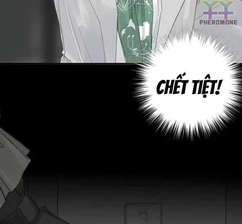 Tả Anh Tiểu Thư Chapter 27 - 98