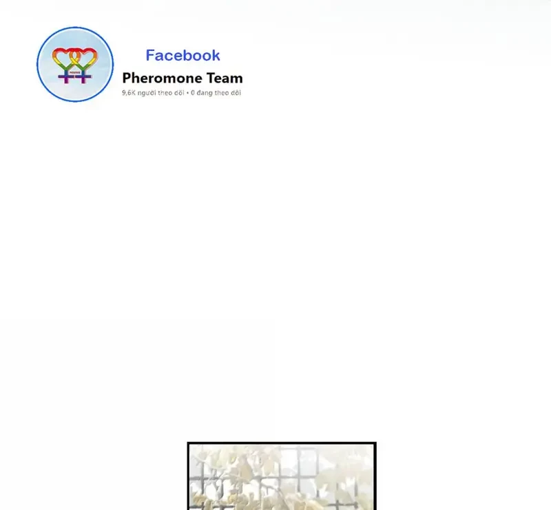 Tả Anh Tiểu Thư Chapter 28 - 30