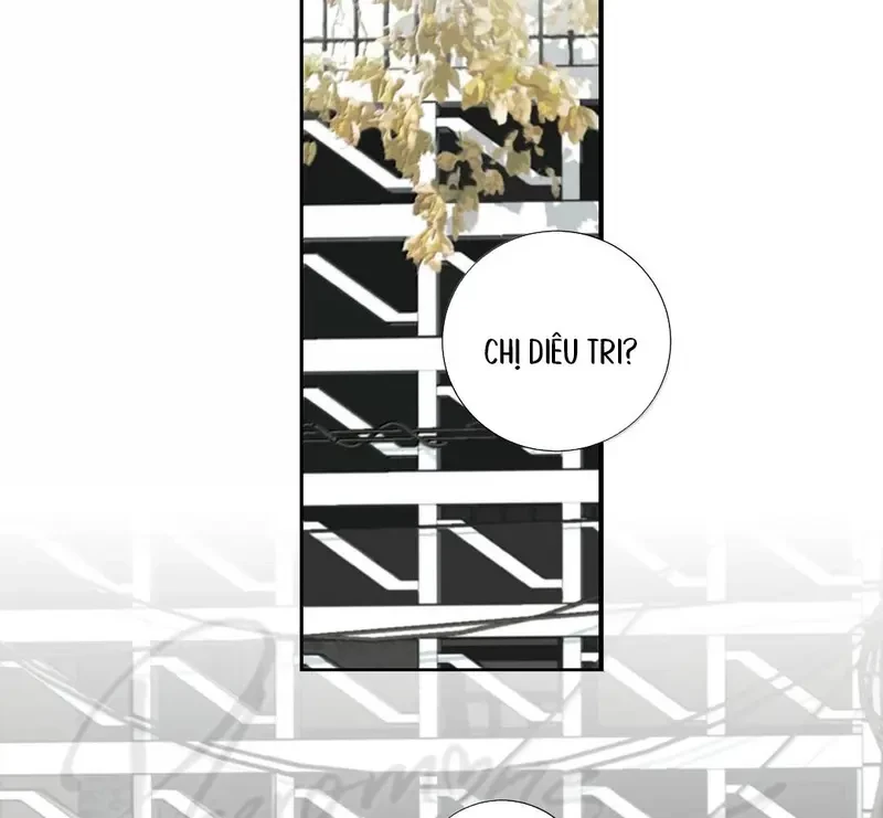 Tả Anh Tiểu Thư Chapter 28 - 31