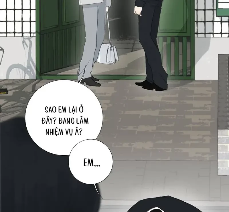 Tả Anh Tiểu Thư Chapter 28 - 33