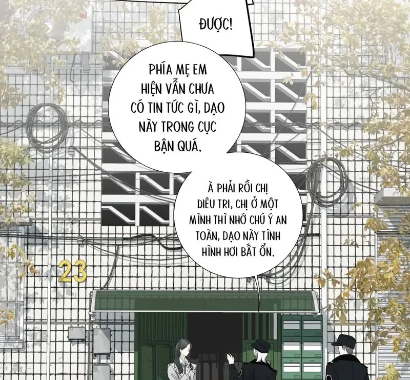 Tả Anh Tiểu Thư Chapter 28 - 41