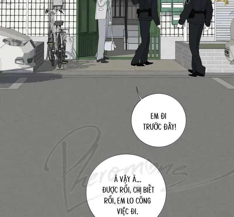 Tả Anh Tiểu Thư Chapter 28 - 42