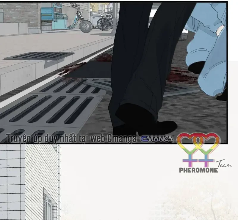 Tả Anh Tiểu Thư Chapter 28 - 46