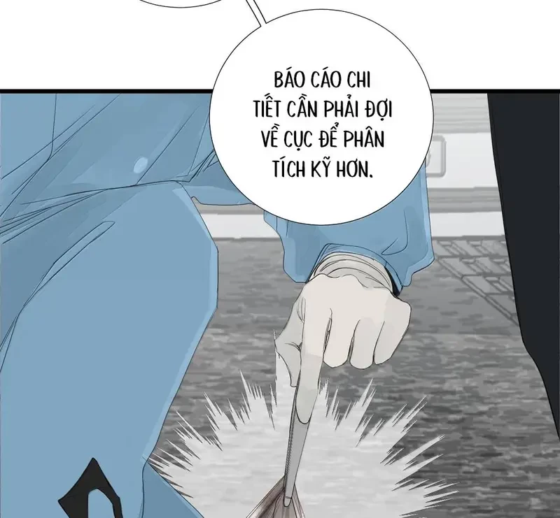 Tả Anh Tiểu Thư Chapter 28 - 52