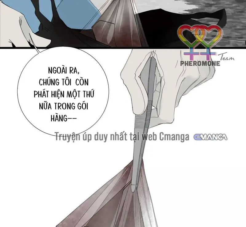 Tả Anh Tiểu Thư Chapter 28 - 53