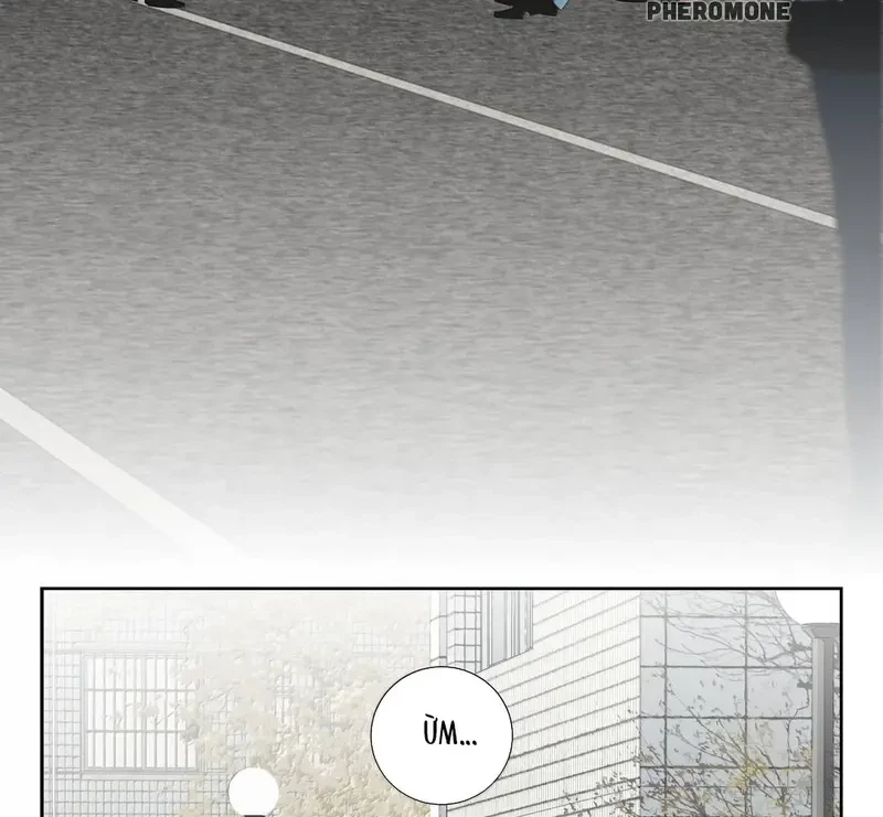 Tả Anh Tiểu Thư Chapter 28 - 64