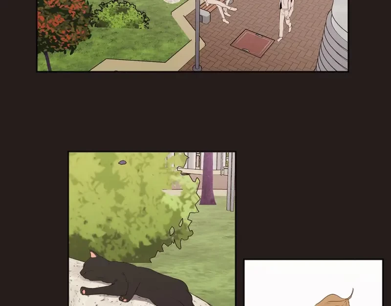 Show Me Your Bust Chapter 26 - 36