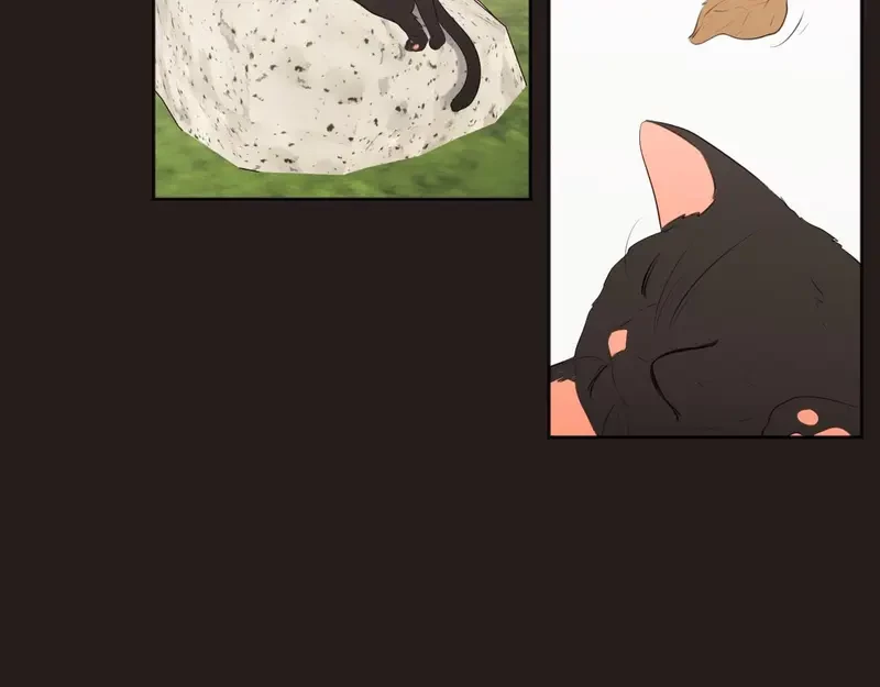 Show Me Your Bust Chapter 26 - 37