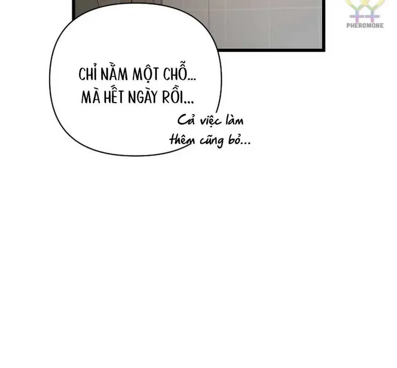 Ngừng Tranh Cãi, Đi Ngủ Thôi! Chapter 14.2 - 32