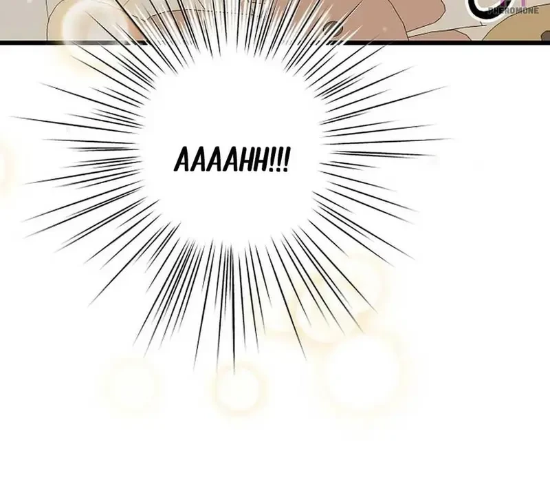 Ngừng Tranh Cãi, Đi Ngủ Thôi! Chapter 15.1 - 74