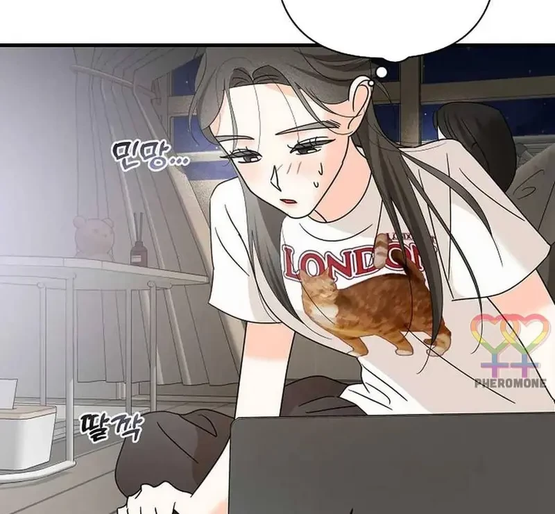 Ngừng Tranh Cãi, Đi Ngủ Thôi! Chapter 16.1 - 31