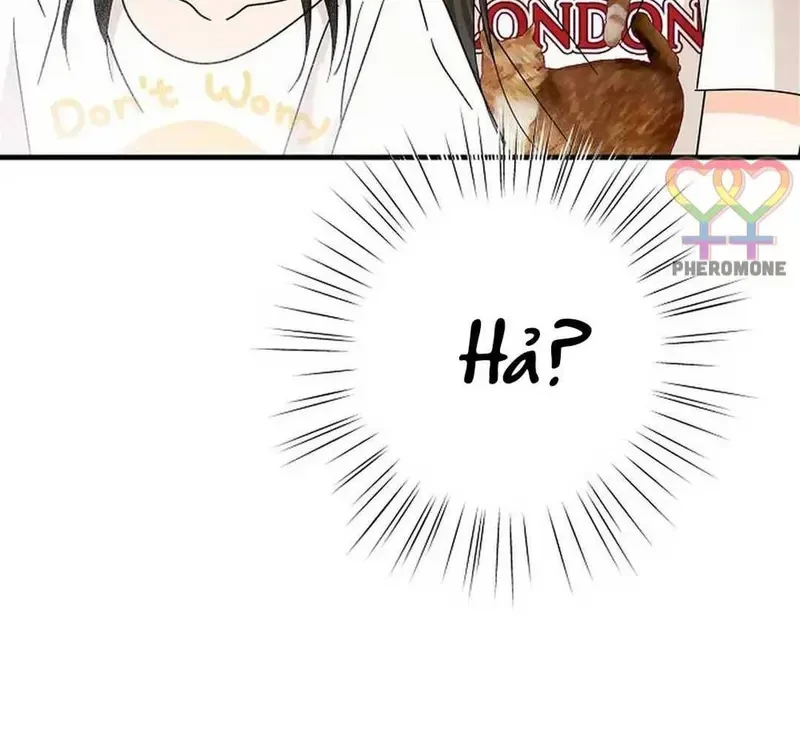 Ngừng Tranh Cãi, Đi Ngủ Thôi! Chapter 16.2 - 13