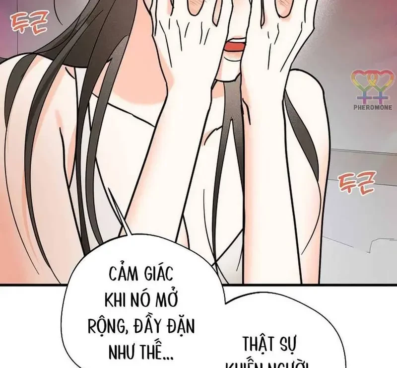 Ngừng Tranh Cãi, Đi Ngủ Thôi! Chapter 17.1 - 67