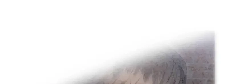 Ngừng Tranh Cãi, Đi Ngủ Thôi! Chapter 21.1 - 35