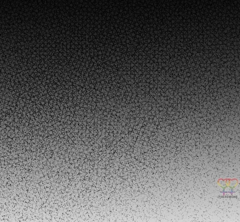 Ngừng Tranh Cãi, Đi Ngủ Thôi! Chapter 22.2 - 77