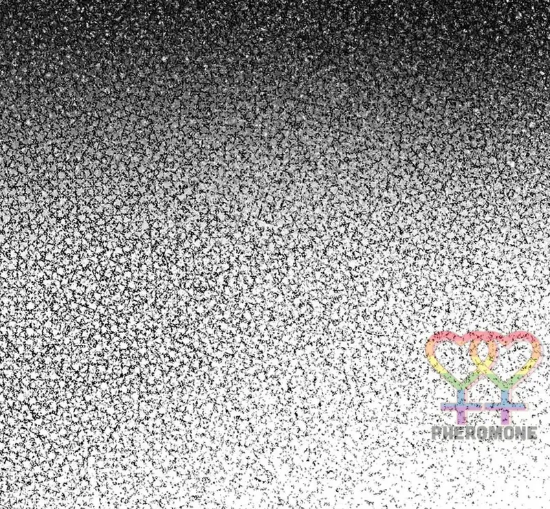 Ngừng Tranh Cãi, Đi Ngủ Thôi! Chapter 23.2 - 48