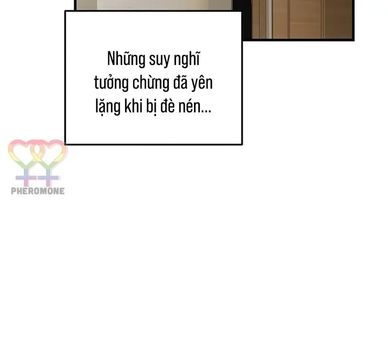 Ngừng Tranh Cãi, Đi Ngủ Thôi! Chapter 24.1 - 40