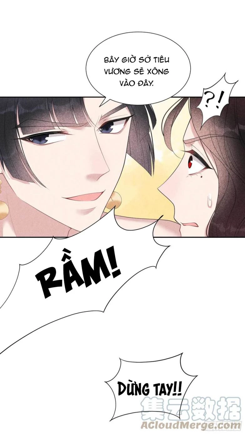 Trở Thành Nam Nhân Của Vương Chapter 22 - 19