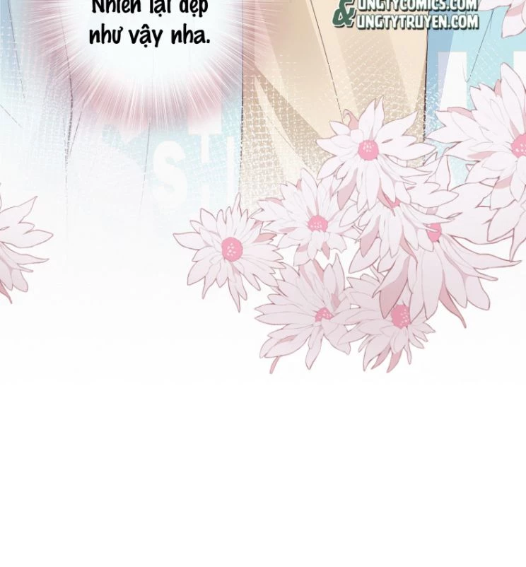 Tri Bỉ Chapter 49 - 56