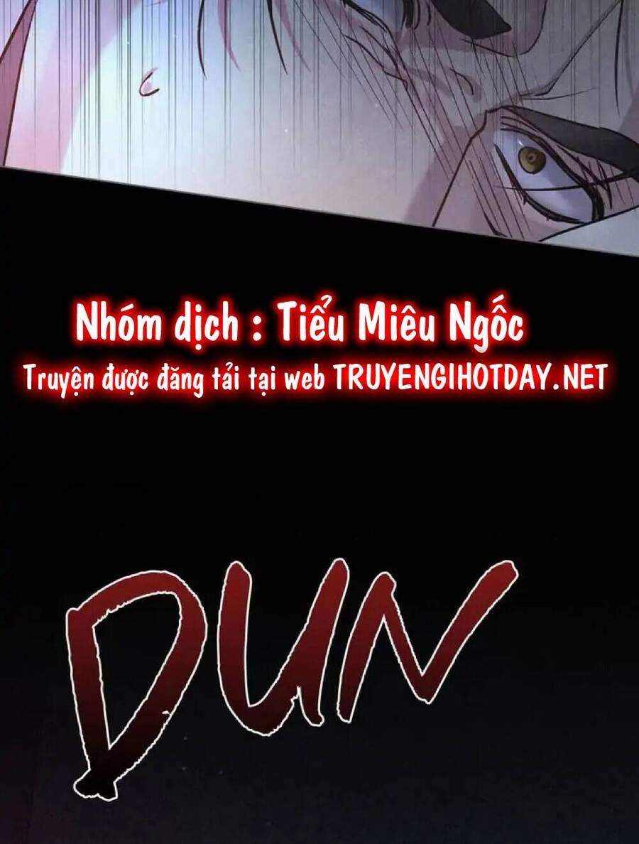 Chàng Người Sói Phát Điên Vì Tôi Chapter 2 - 17