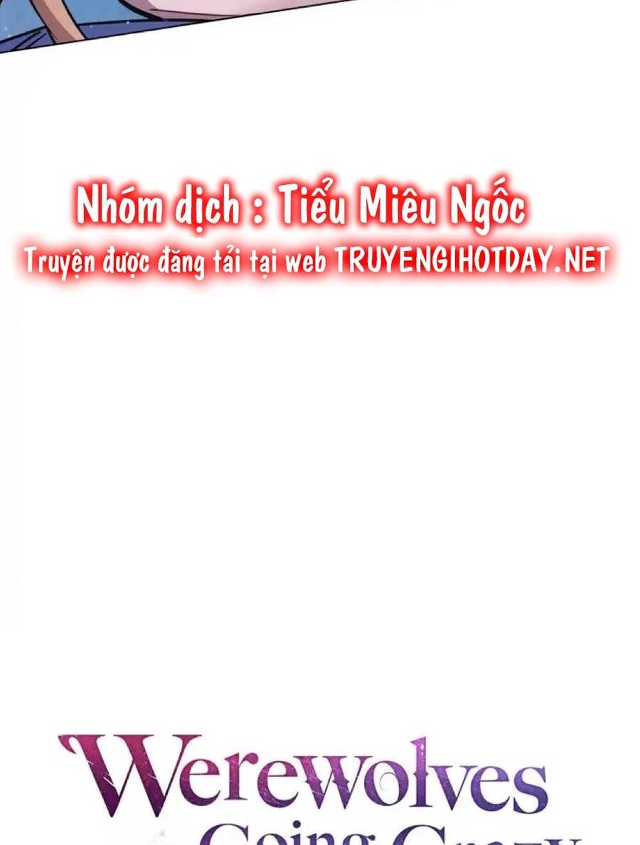 Chàng Người Sói Phát Điên Vì Tôi Chapter 2 - 20