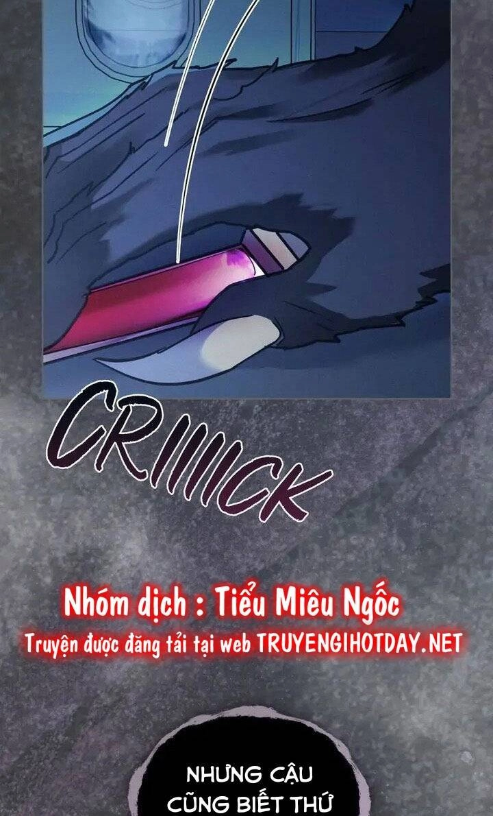 Chàng Người Sói Phát Điên Vì Tôi Chapter 3 - 39