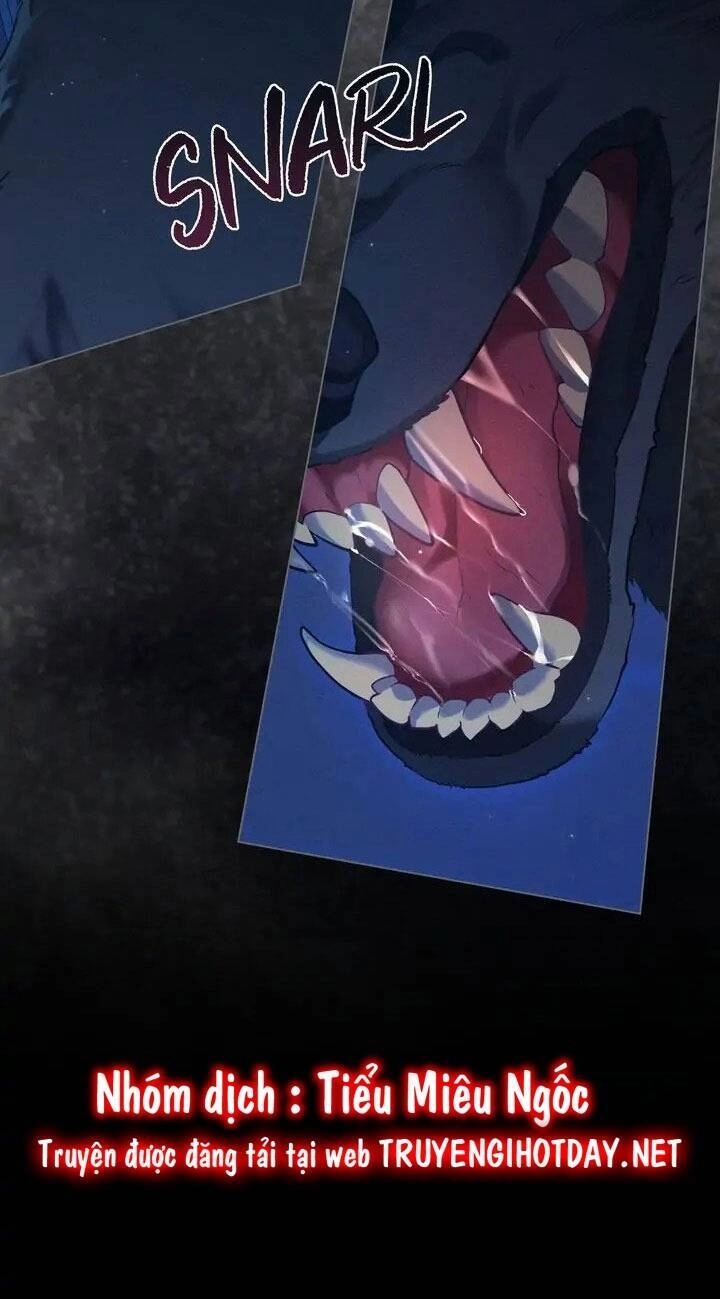 Chàng Người Sói Phát Điên Vì Tôi Chapter 3 - 41