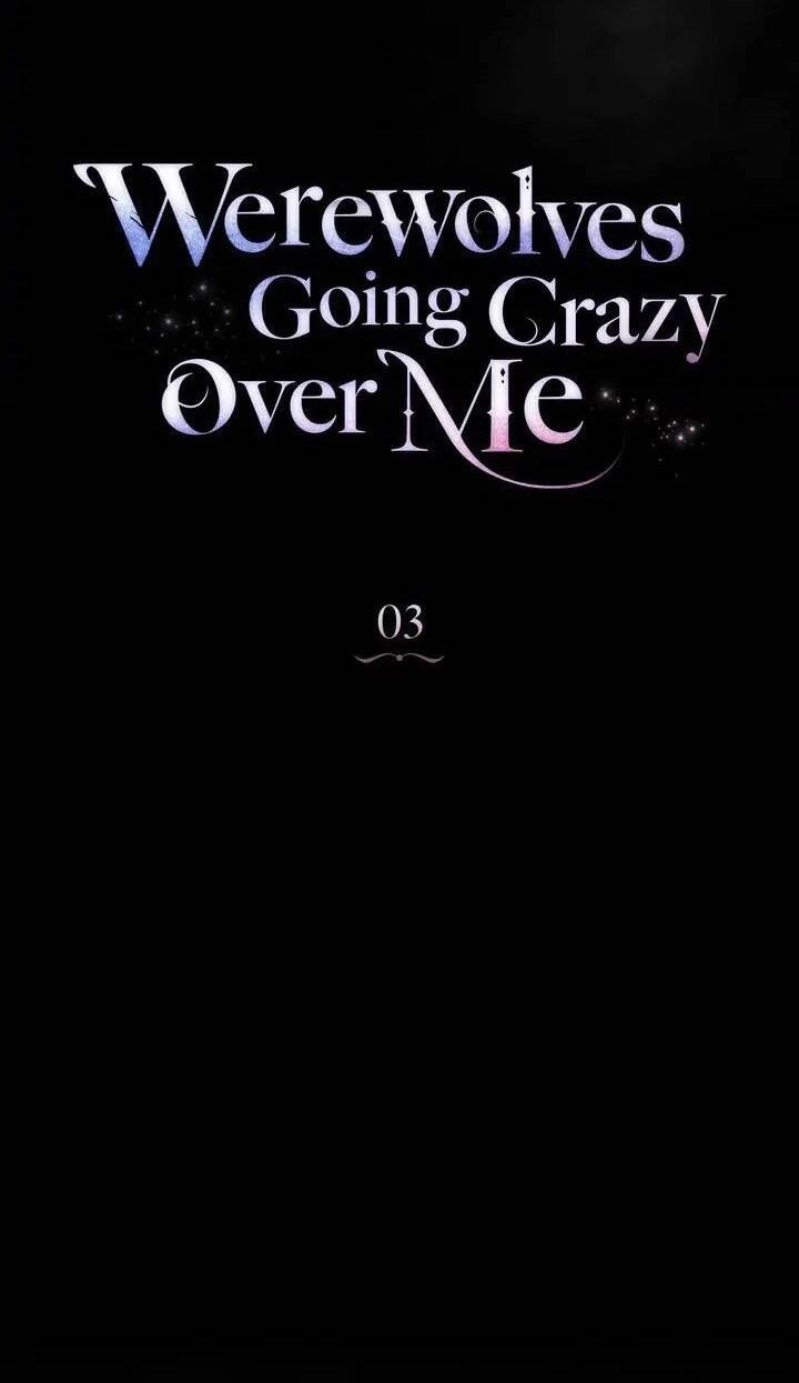 Chàng Người Sói Phát Điên Vì Tôi Chapter 3 - 44