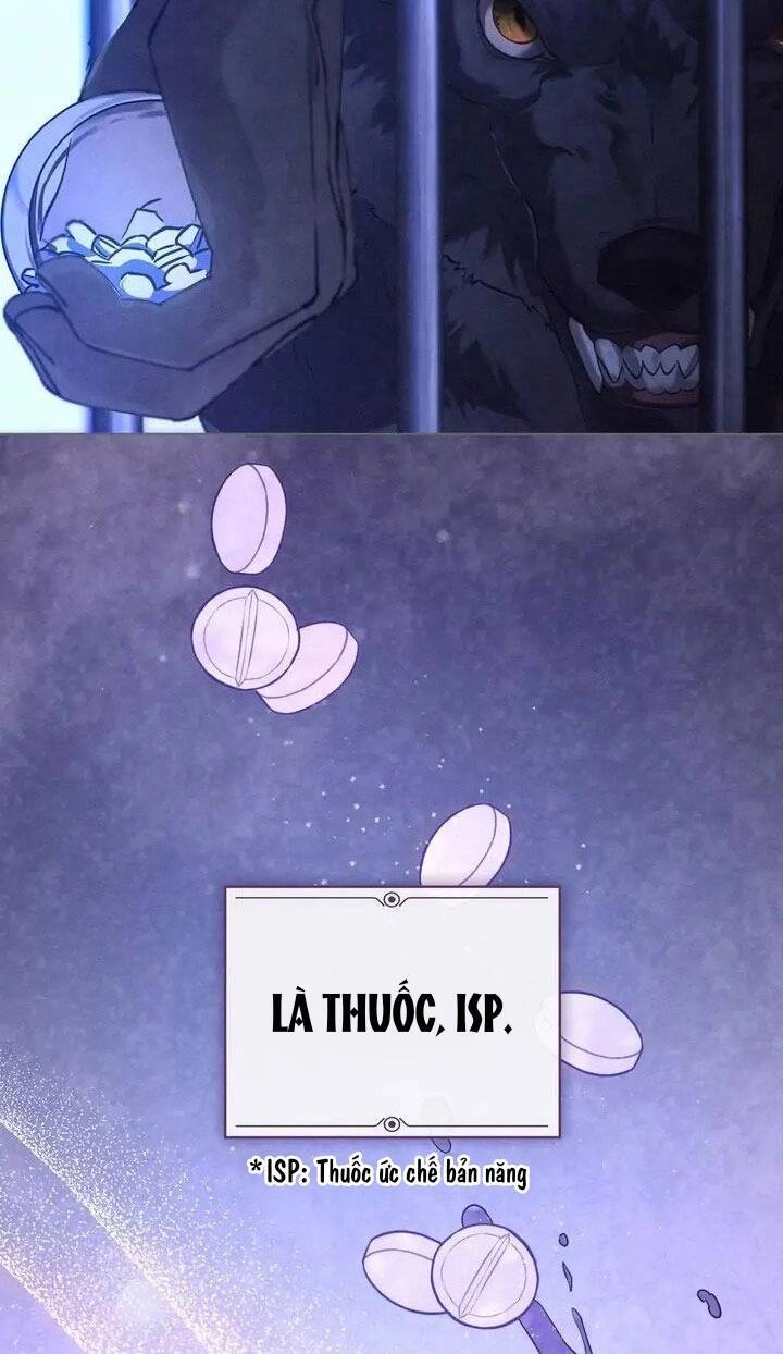 Chàng Người Sói Phát Điên Vì Tôi Chapter 3 - 47