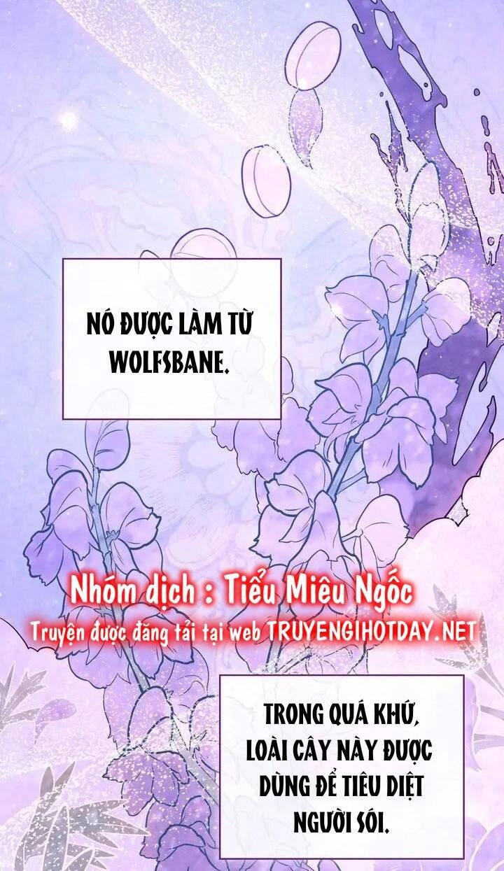 Chàng Người Sói Phát Điên Vì Tôi Chapter 3 - 48