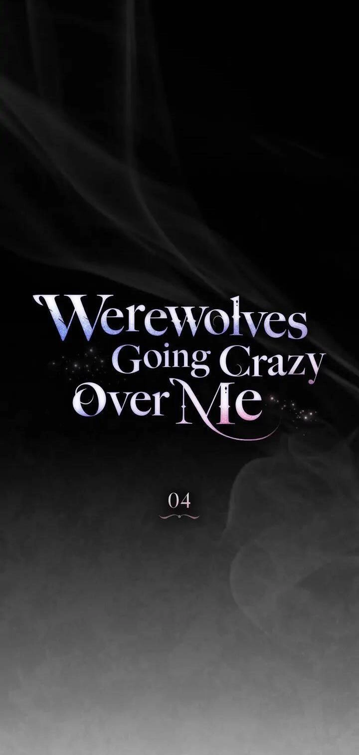 Chàng Người Sói Phát Điên Vì Tôi Chapter 4 - 13