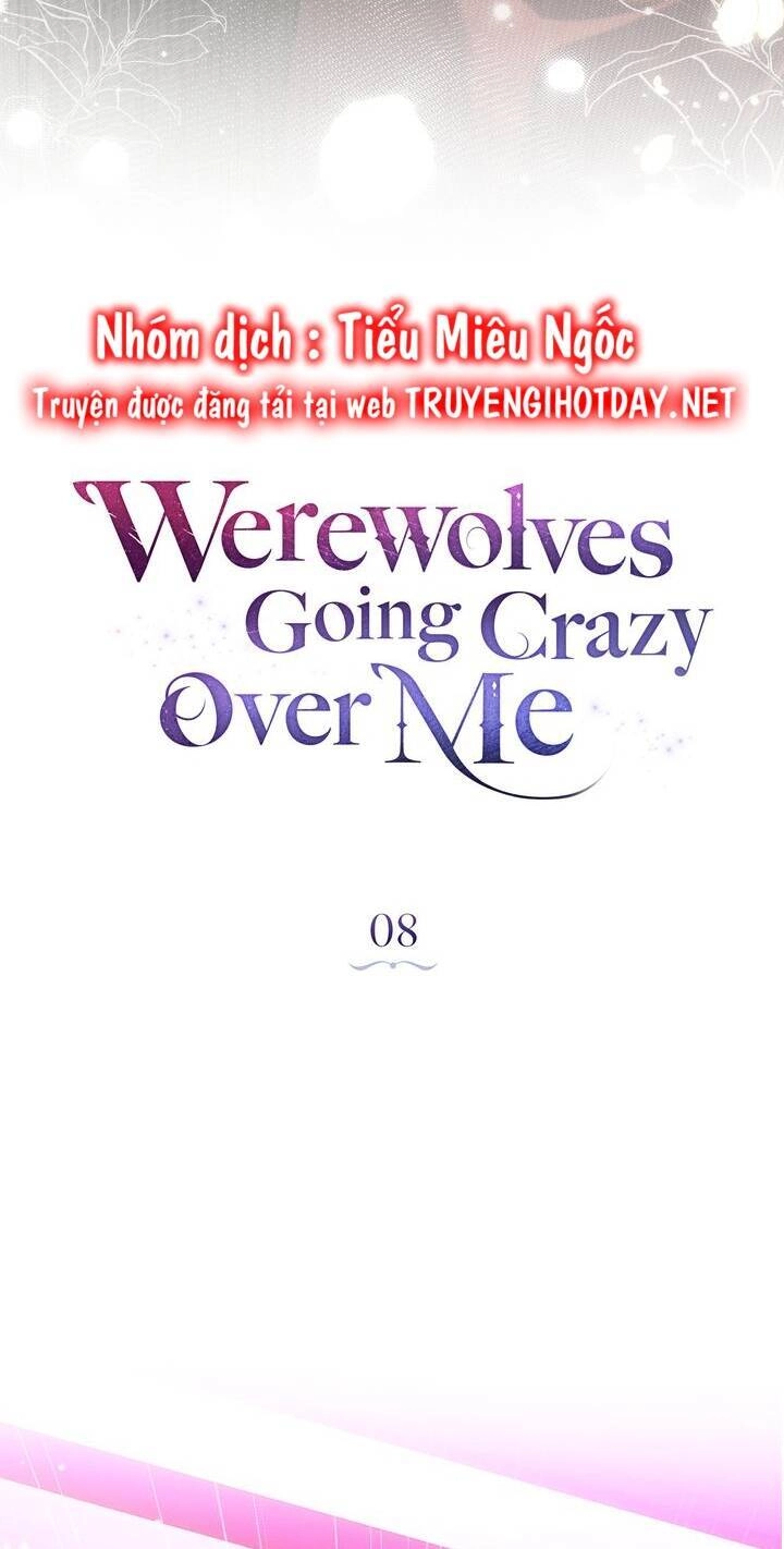 Chàng Người Sói Phát Điên Vì Tôi Chapter 8 - 7