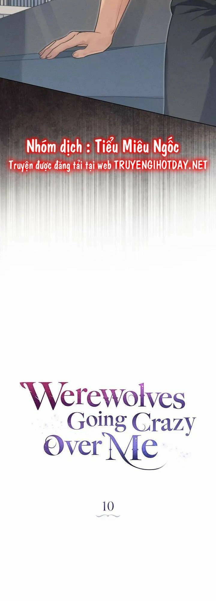 Chàng Người Sói Phát Điên Vì Tôi Chapter 10 - 22